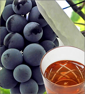 ���C�����r���~��