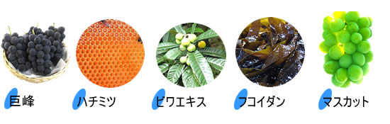 �r���~���̑f��